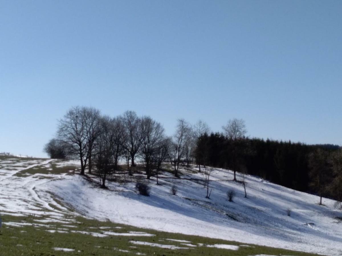 Oh Deer! Apartment Vaux-sur-Sure Luaran gambar